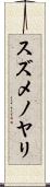 スズメノヤリ Scroll