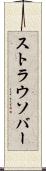ストラウソバー Scroll