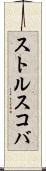 ストルスコバ Scroll