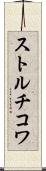 ストルチコワ Scroll