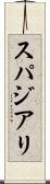 スパジアリ Scroll
