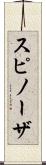 スピノーザ Scroll