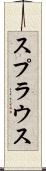 スプラウス Scroll