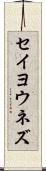 セイヨウネズ Scroll