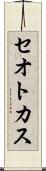 セオトカス Scroll