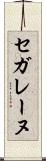 セガレーヌ Scroll