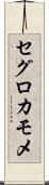 セグロカモメ Scroll