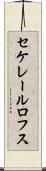 セケレールロフス Scroll
