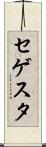 セゲスタ Scroll