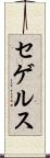 セゲルス Scroll