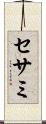セサミ Scroll