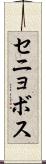 セニョボス Scroll