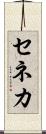 セネカ Scroll