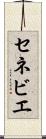 セネビエ Scroll