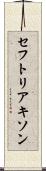 セフトリアキソン Scroll