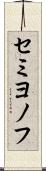 セミヨノフ Scroll