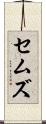 セムズ Scroll