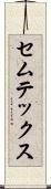 セムテックス Scroll