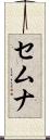 セムナ Scroll