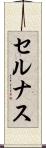 セルナス Scroll