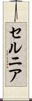 セルニア Scroll