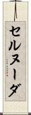 セルヌーダ Scroll
