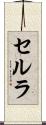 セルラ Scroll