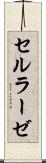 セルラーゼ Scroll