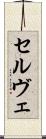 セルヴェ Scroll