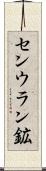 センウラン鉱 Scroll