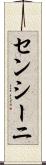 センシーニ Scroll