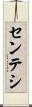センテシ Scroll
