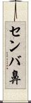 センバ鼻 Scroll