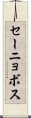 セーニョボス Scroll