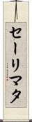 Salimata Scroll