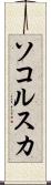 ソコルスカ Scroll