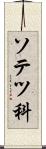 ソテツ科 Scroll