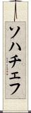 ソハチェフ Scroll