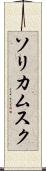 ソリカムスク Scroll