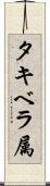 タキベラ属 Scroll
