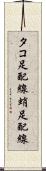 タコ足配線 Scroll