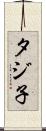 タジ子 Scroll