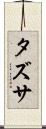 タズサ Scroll