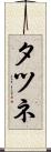 タツネ Scroll