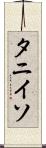 タニイソ Scroll
