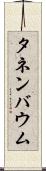 タネンバウム Scroll