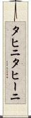 タヒニ Scroll