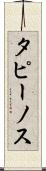 タピーノス Scroll
