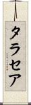 タラセア Scroll