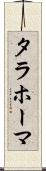 タラホーマ Scroll